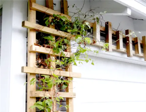 Шпалера своими руками - угловая