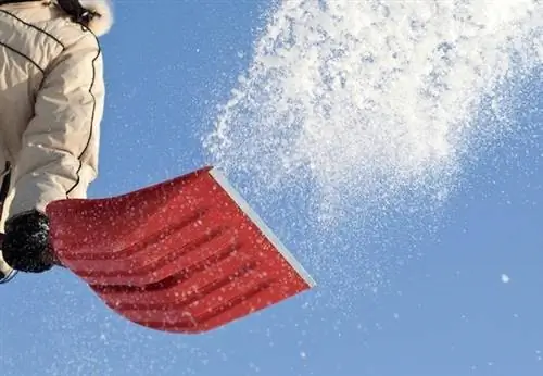 Советы профессионалов: лучшие способы борьбы со снегом и льдом