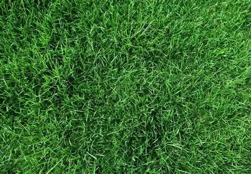 Как избавиться от пятен от травы