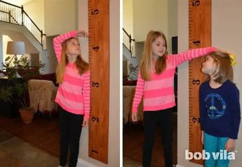 Диаграмма роста своими руками - как сделать гигантскую линейку