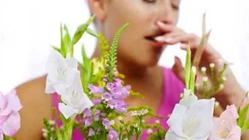 Уменьшить аллергию и астму