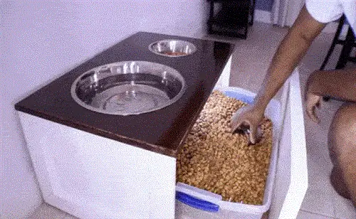 Кормушка для собак своими руками