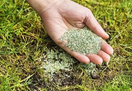 Весенний уход за газоном - посев