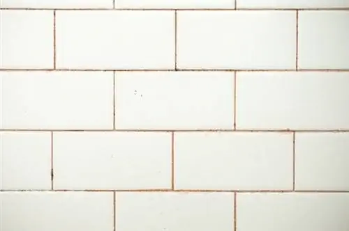 Распространенные виды плесени в домах: розовая плесень в ванной