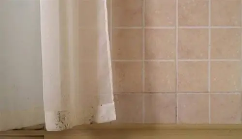 Распространенные виды плесени в домах: коричневая плесень на текстиле