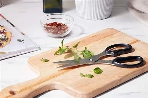 Лучшие варианты кухонных ножниц