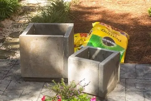 Бетонные кашпо своими руками - добавляем грунт