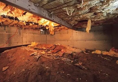 Решения Crawl Space Solutions - земляной пол
