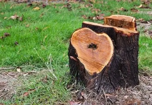 Как удалить пень Как удалить пень
