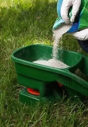 Как удобрять газон осенью - Загрузка