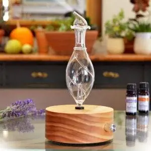 Лучшие варианты диффузора эфирного масла: диффузор эфирного масла ArOmis из дерева и стекла