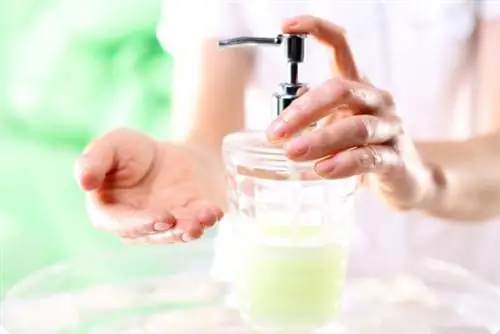 Лучшие варианты мыла для рук