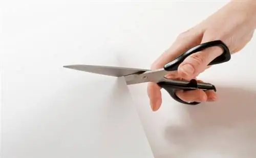 Лучшие ножницы для резки бумаги и не только