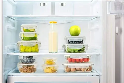 Лучшие стеклянные контейнеры для хранения продуктов в холодильнике, кладовой и морозильной камере