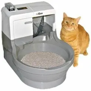 Лучший вариант кошачьего туалета: CatGenie Self Washing Self Flush Cat Box
