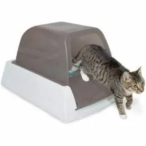 Лучший вариант туалетного лотка: самоочищающийся лоток PetSafe ScoopFree Ultra