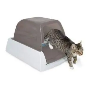 Лучший вариант автоматического туалета: самоочищающийся туалет PetSafe ScoopFree Ultra