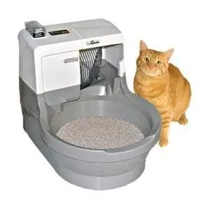 Лучший вариант автоматического кошачьего туалета: CatGenie Self Washing Self Flush Box Cat
