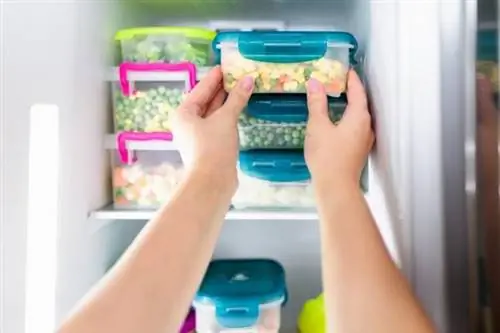 Лучшие контейнеры для хранения продуктов для холодильника и кладовой