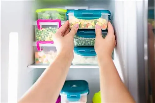 Лучшие контейнеры для хранения продуктов для вашего холодильника и кладовой
