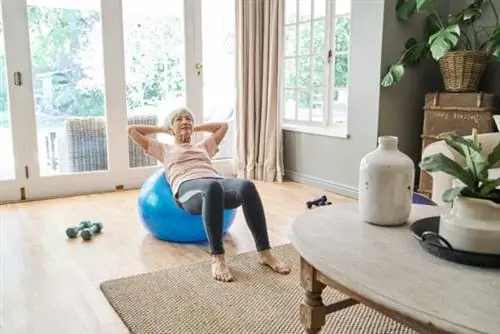 Лучшие варианты фитболов для домашнего спортзала