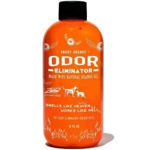 Лучшие средства для удаления пятен от домашних животных: Angry Orange Pet Odor Eliminator