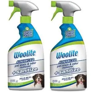 Лучшие средства для удаления пятен от домашних животных: Woolite Advanced Pet Stain
