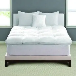 Лучшие варианты охлаждающего матраса: Pacific Coast Feather Luxe Loft Baffle Box Feather Bed