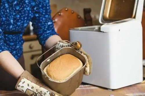 Лучший вариант хлебопечки