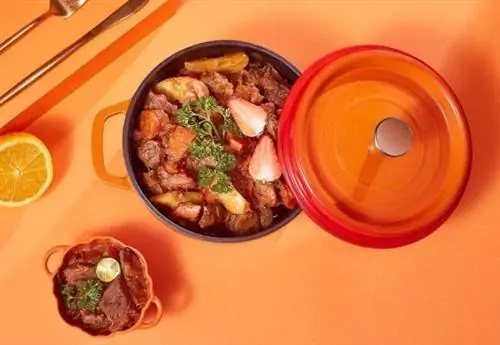 Лучшие варианты голландской печи Лучшие варианты голландской печи