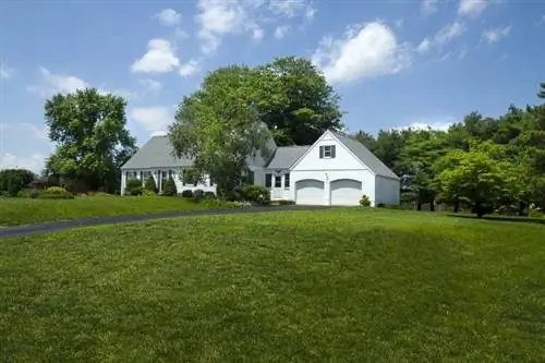 Лучшие растения для борьбы с эрозией