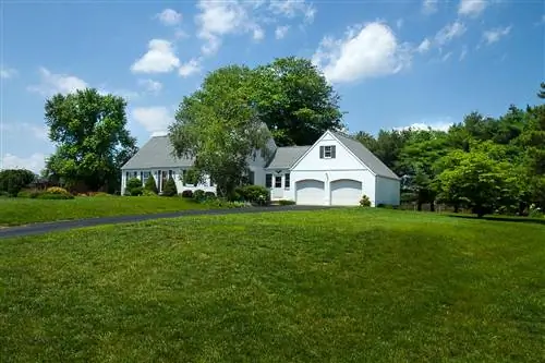 Решено! Лучшие растения для борьбы с эрозией