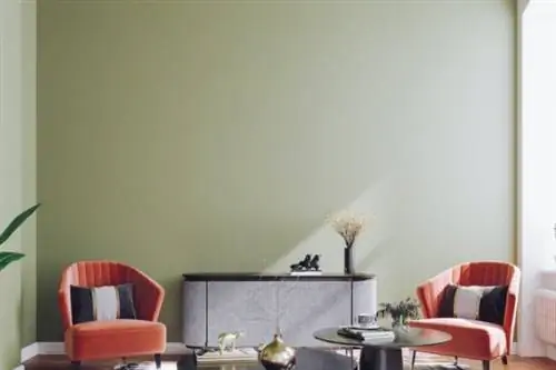 чем отмыть окрашенные стены