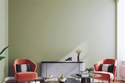 Как очистить окрашенные стены