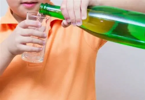 Как удалить пятна от кофе - Club Soda