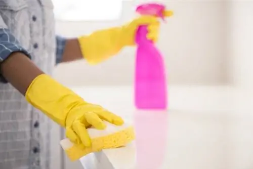 Как поймать мышь и навести порядок