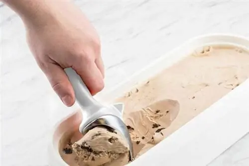 Лучший вариант ложки для мороженого