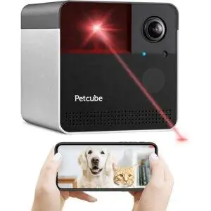 Лучшая камера для домашних животных Petcube
