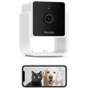 Лучшая камера для домашних животных PetcubeCam
