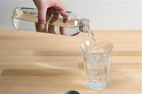Лучшая стеклянная бутылка для безопасного питья