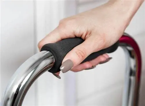 Лучшие поручни для душа для дизайна со старением на месте