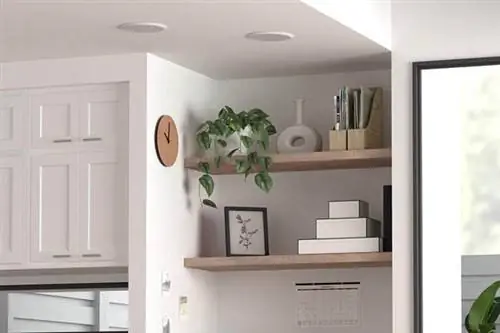 Лучшие варианты потолочных динамиков