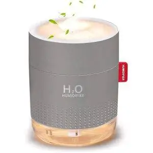 Лучшие варианты увлажнителя воздуха для путешествий: портативный мини-увлажнитель AUGOLA, тихий маленький прохладный