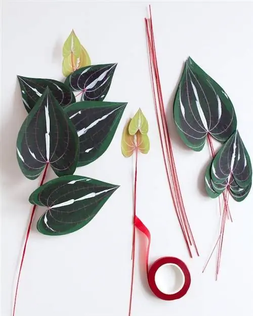 бумажное комнатное растение