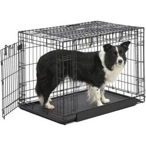 Лучшие варианты ящиков для собак: складная клетка для собак MidWest Homes for Pets Ovation