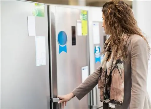 выбор-холодильника-в-магазине-картинка-id499631504