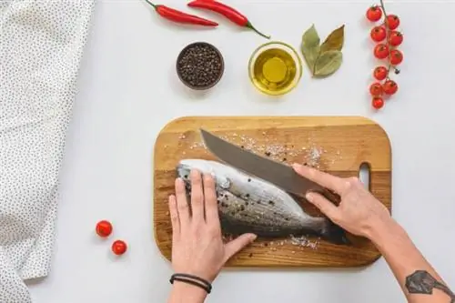 Лучшие варианты филейного ножа