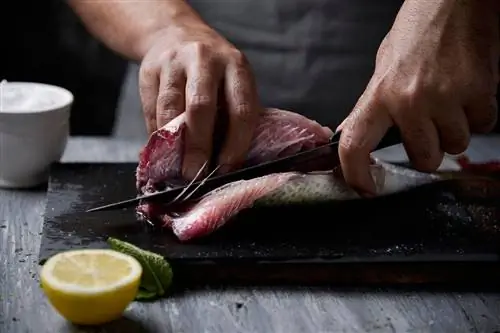 Лучший филейный нож для приготовления мяса или морепродуктов