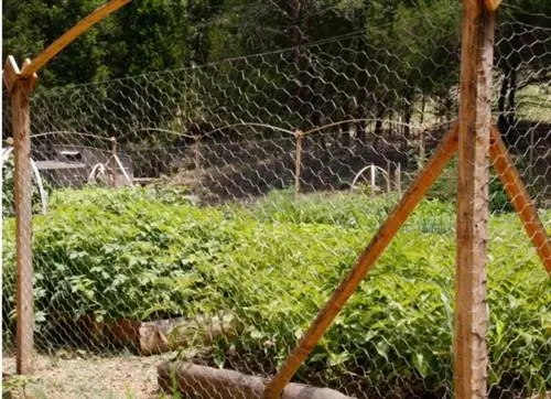 пышный-сад-картина-id119119654