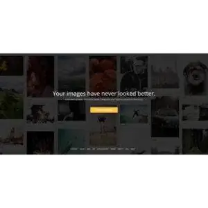 Лучшие варианты хранения фотографий: ImageShack
